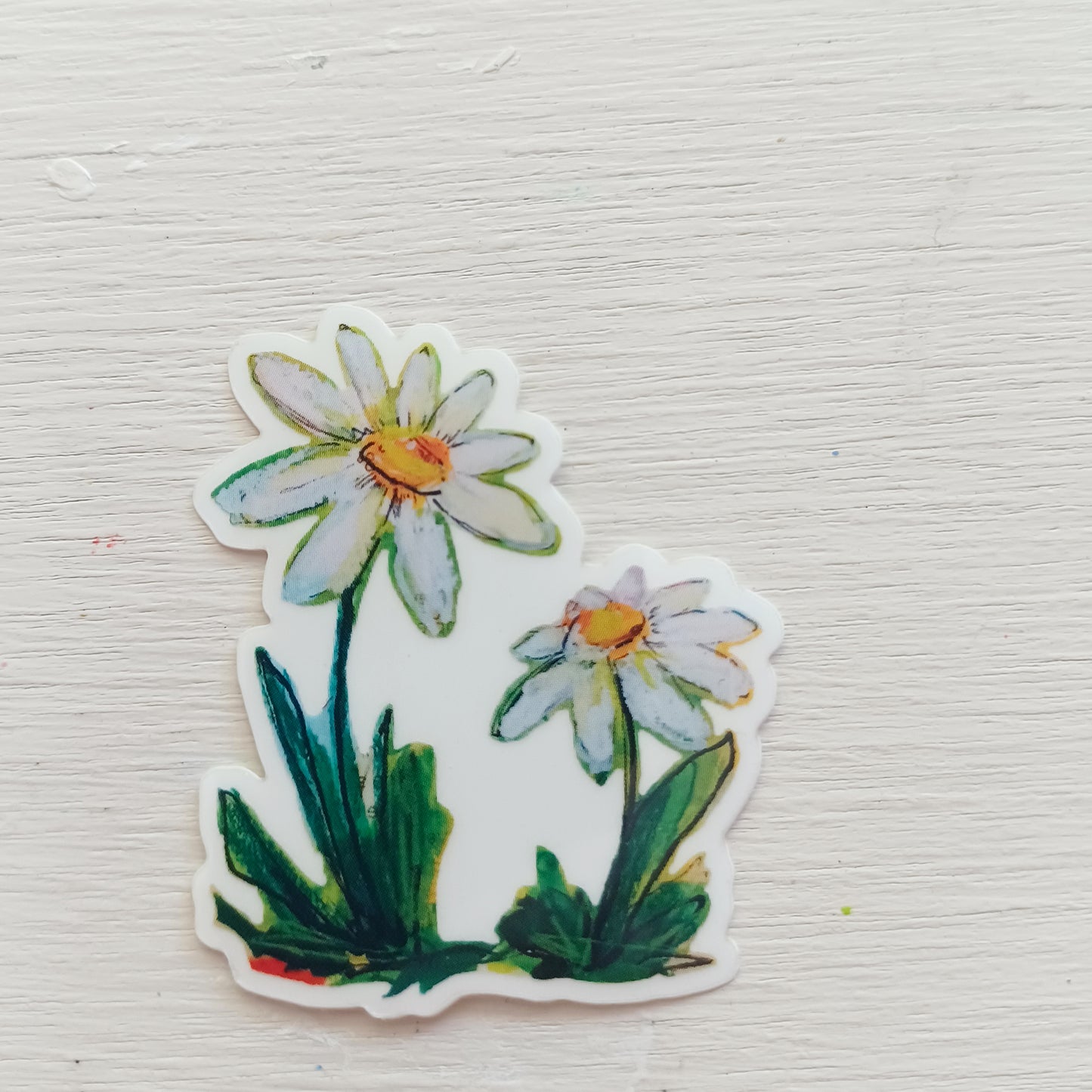 daisies || vinyl clear sticker - bellajoie