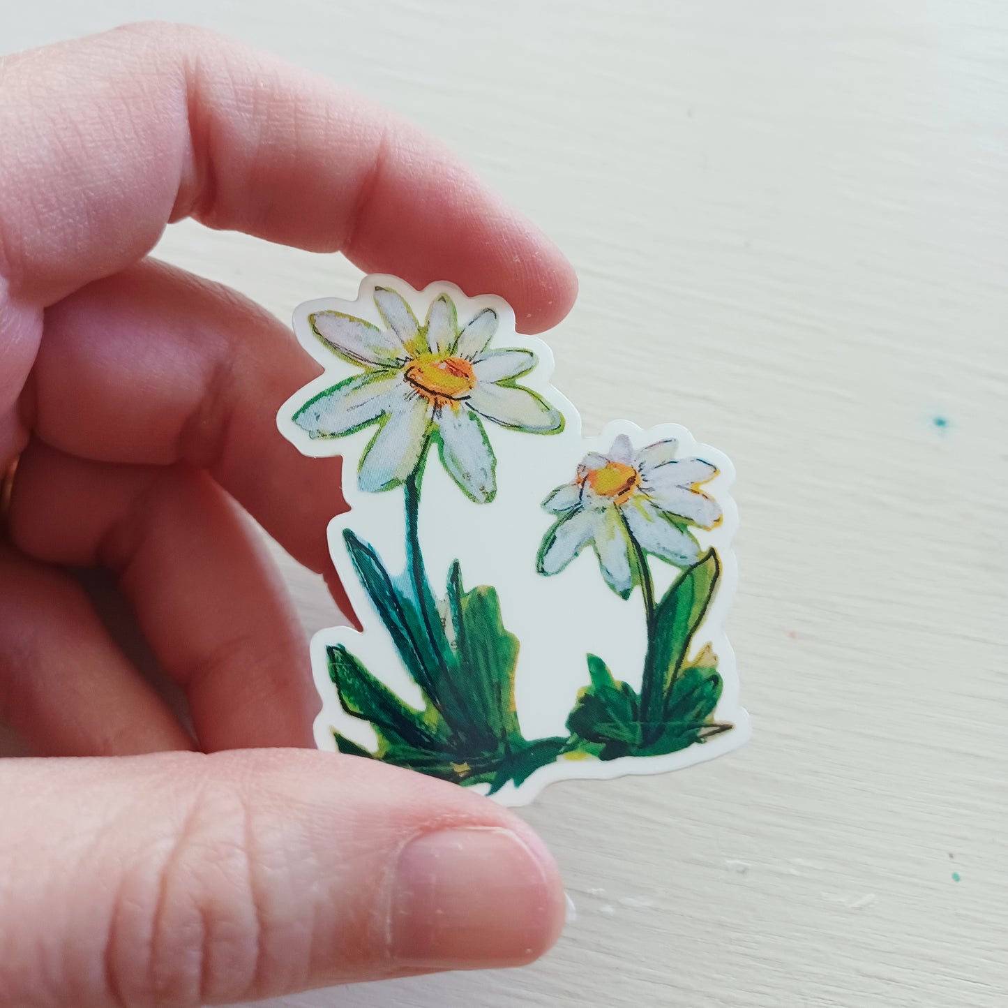 daisies || vinyl clear sticker - bellajoie