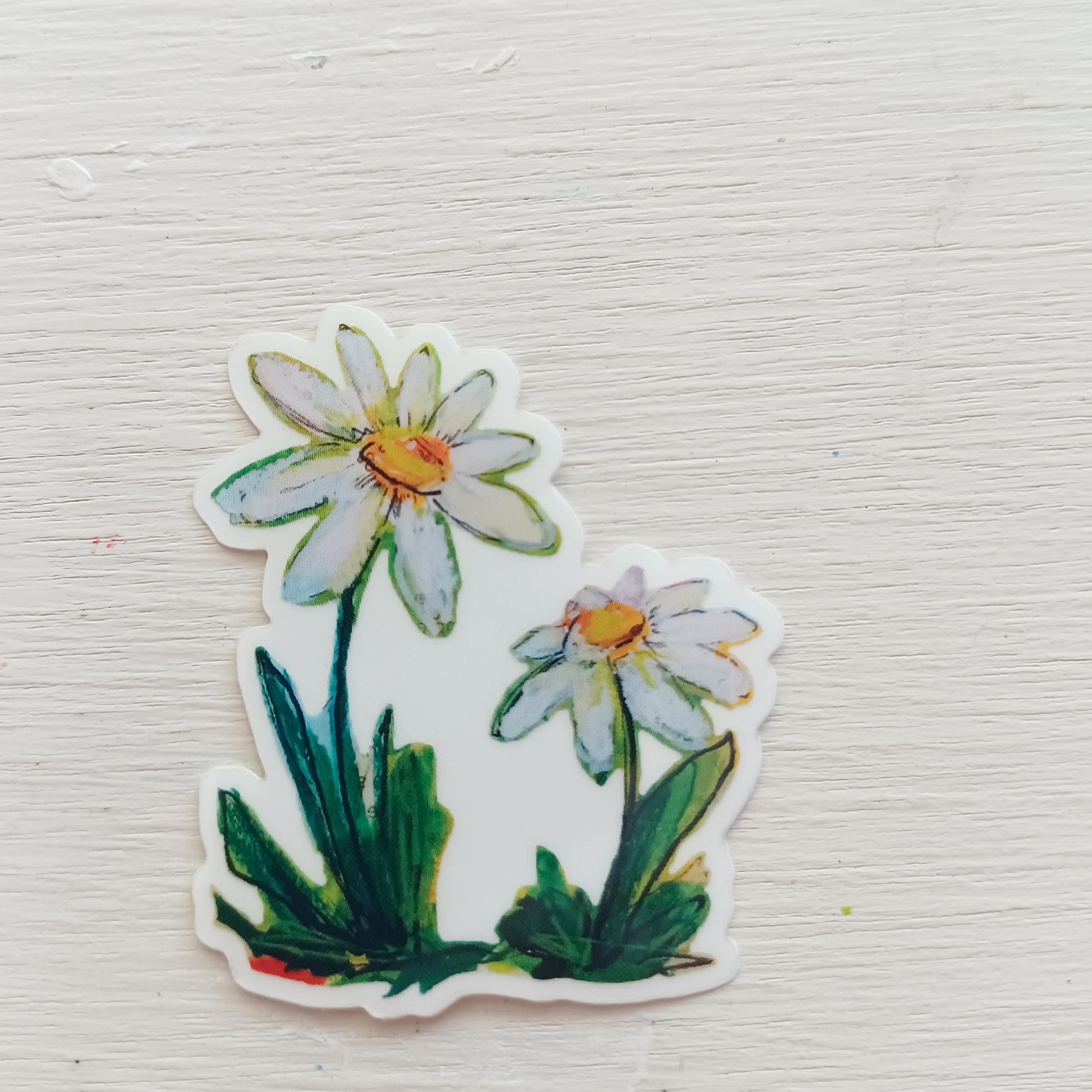 daisies || vinyl clear sticker - bellajoie